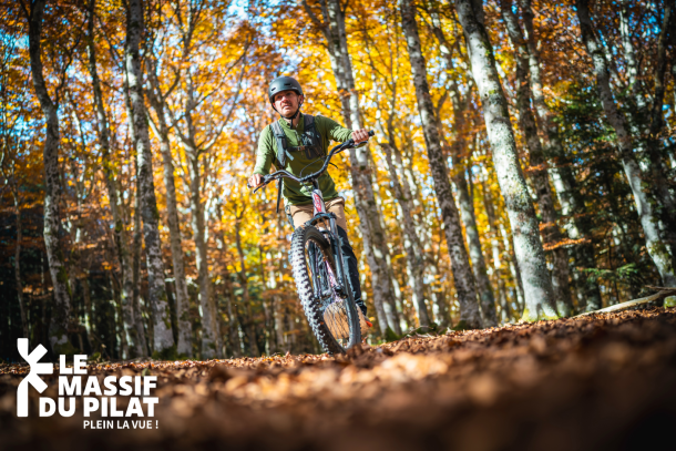 Trotinette électrique